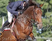 Apolloni Dama di Cuori GioCav2013 S6 7571 : Apolloni Gianluca, Campionati Italiani Giovani Cavalli, Cattolica, Dama di Cuori, ph Stefano Secchi ©